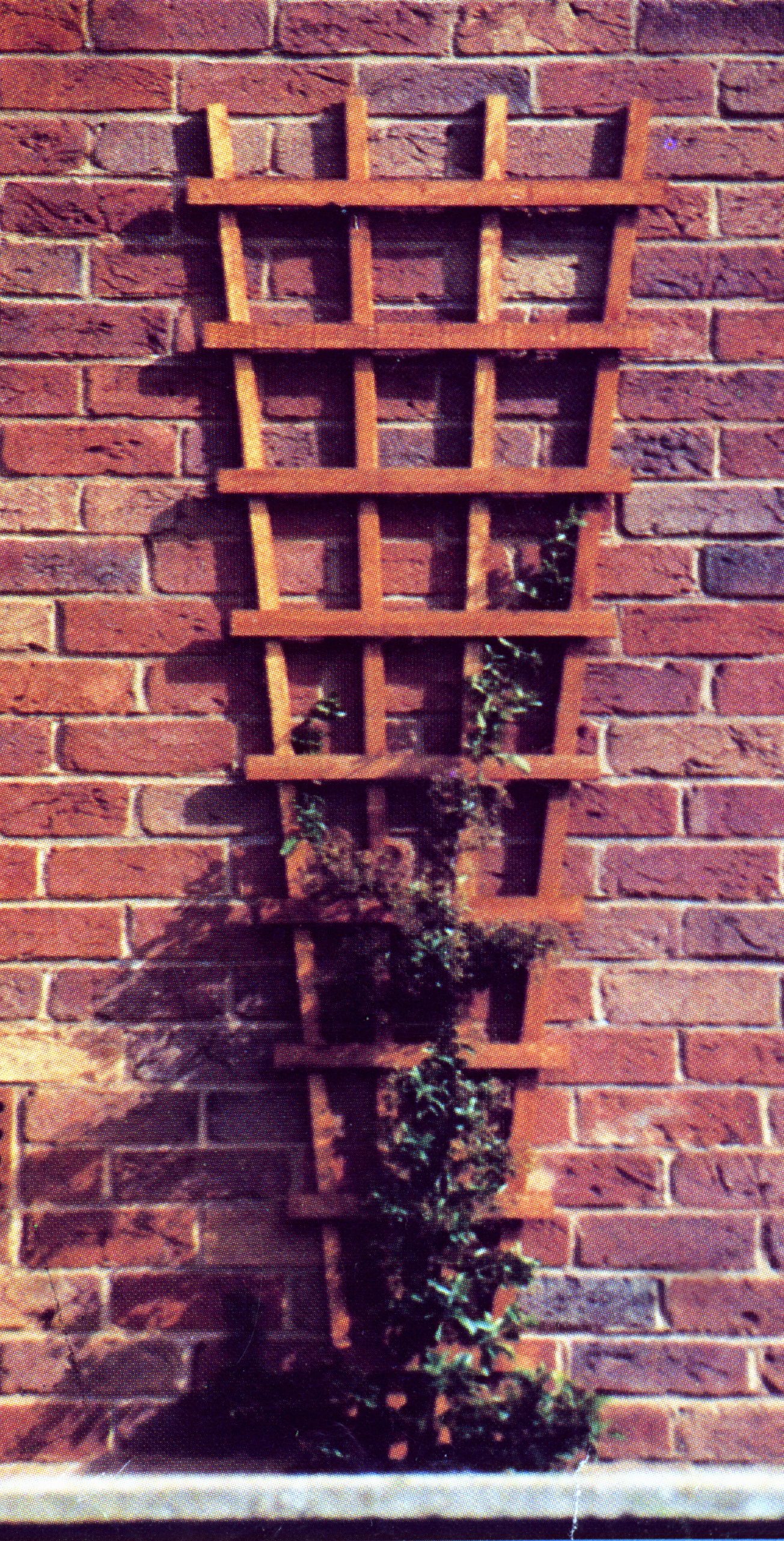 Trellis Panels Wooden Garden Fencing Wilfirs