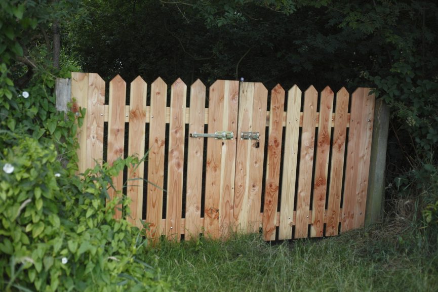 wooden gate in over grown garden