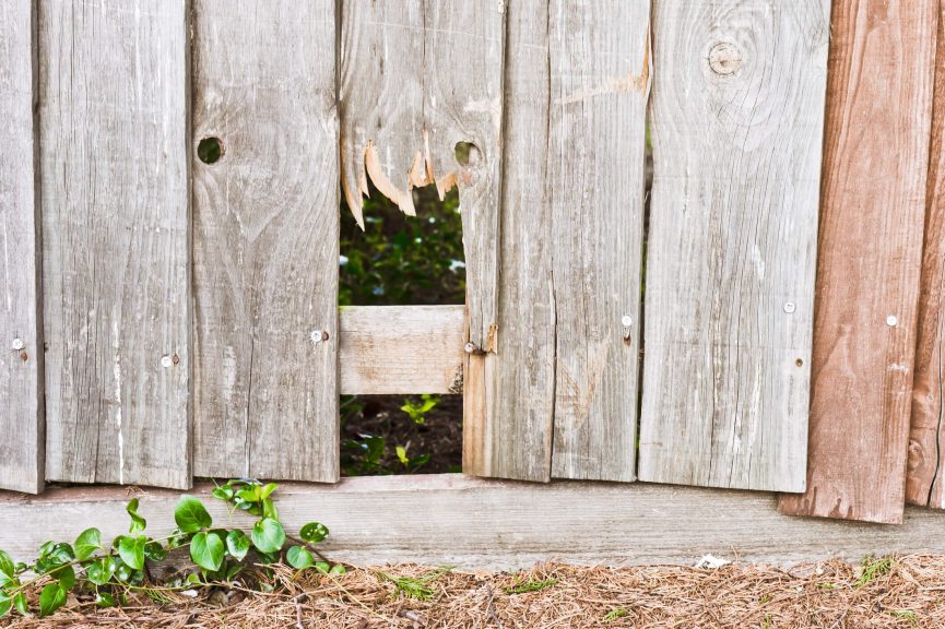 Broken fence